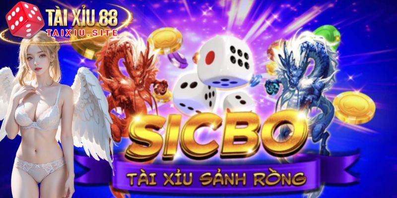 Sân chơi được chuyên gia đánh giá chân thực về trải nghiệm thực tế