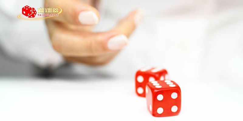 Giải mã định nghĩa của tài xỉu bịp