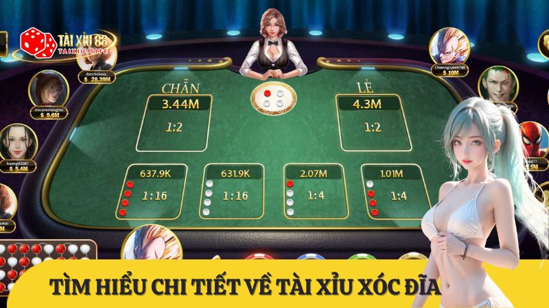 Tài xỉu xóc đĩa là gì? Cẩm nang dành cho người mới bắt đầu