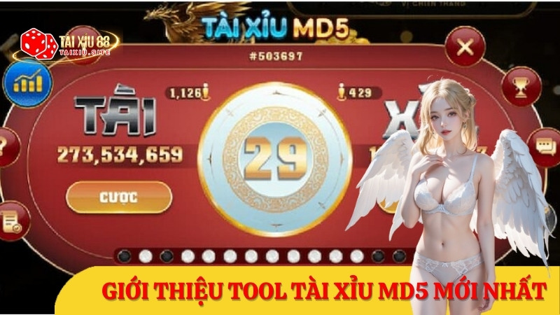 Tài Xỉu Online 88 giới thiệu Tool tài xỉu MD5