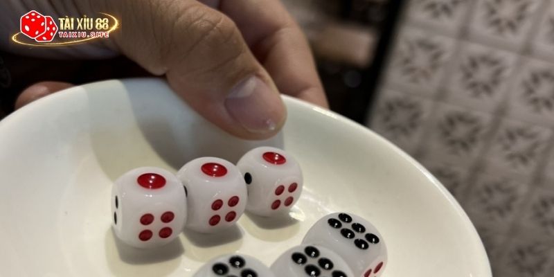 Một số hình ảnh tài xỉu offline truyền thống