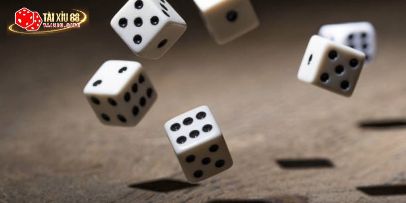 Tổng hợp các cầu tài xỉu phổ biến