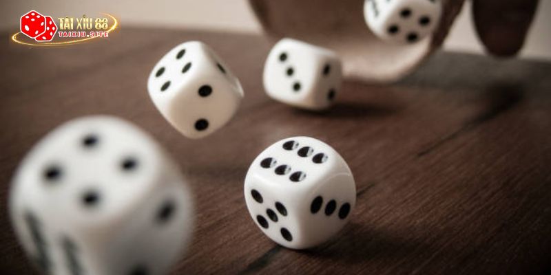 Hướng dẫn cách bắt cầu tài xỉu cho newbie