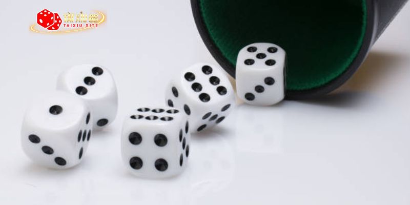 Tài xỉu rất phổ biến ở Việt Nam