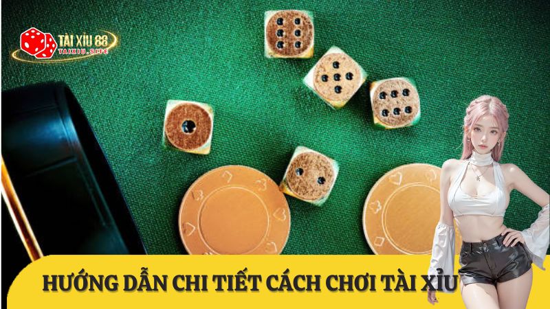 Hướng dẫn luật chơi tài xỉu và cách đánh tài xỉu online hiệu quả nhất 2024